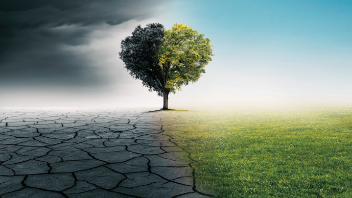How Can Arbitration Best Serve the Energy Transition? Page