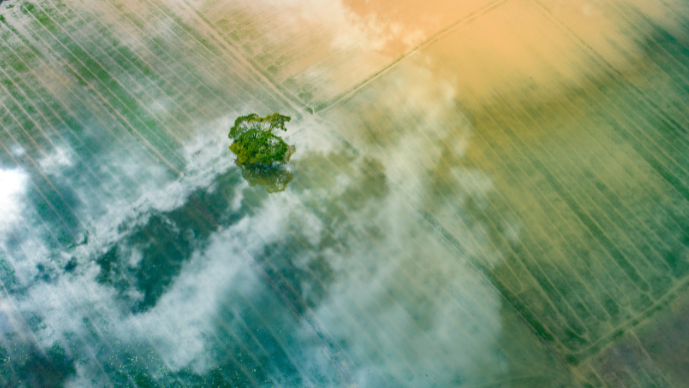 Foley Hoag Earns Second Consecutive ‘A’ Grade on 2024 Climate Scorecard Page