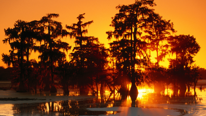 Cajun Cannabinoid Amendments Not Spared from Spate of Legal Challenges