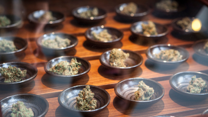 DOJ Immediately Reschedules State-Licensed Medical Cannabis to Schedule III — and Restarts the Clock on Broader Rescheduling Page