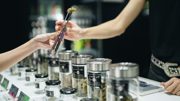 Virginia Legislature Advances Competing Bills to Launch Adult-Use Marijuana Sales