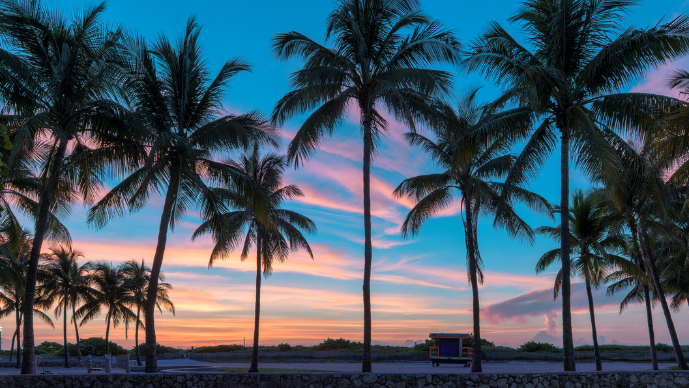 ICC Miami Conference 2024 Page