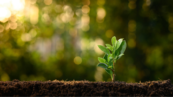 The D.C. Circuit Vacates Most of EPA’s SSM SIP Call; Generators Breath a Sigh of Relief