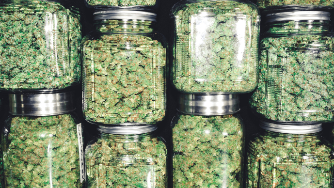 Maryland Progresses Towards Legalized Adult-Use Cannabis