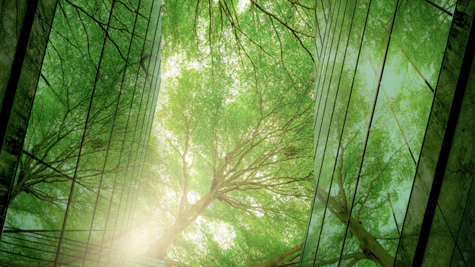 Foley Hoag Earns 'A' Grade on 2023 Climate Scorecard Page