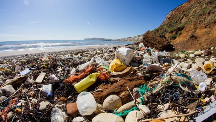 In the Void Left by Congress's Failure to Address Plastic Pollution, More Litigation Such as This Is Inevitable
