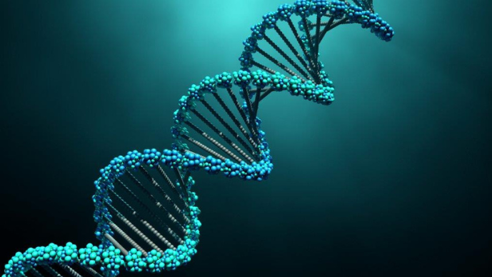 FDA Leadership Outlines “Plausible Mechanism” Pathway for Bespoke Therapies Page