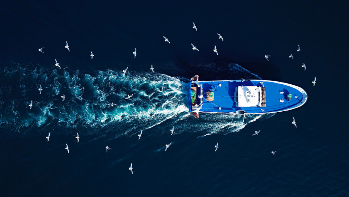 Damages in Inter-State IUU Fishing Claims Page