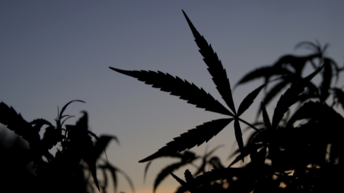Navigating IRC Section 280E — Critical Updates for Cannabis Taxpayers as the 2025 Filing Deadline Approaches Page