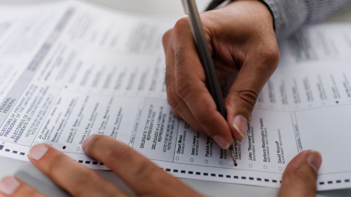 A Trip Into the Fine Print of Ballot Question 4: MA’s Proposal to Legalize Certain Natural Psychedelic Substances