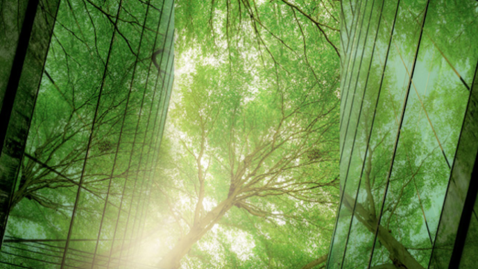 Anticipating the U.S. Securities and Exchange Commission's ESG Disclosure Rules and Guidelines: How to Stay Ahead of the Game