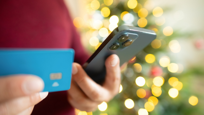 Holiday Cyber Security Scams: Protecting Your Business During the Festive Season Without Being a Grinch