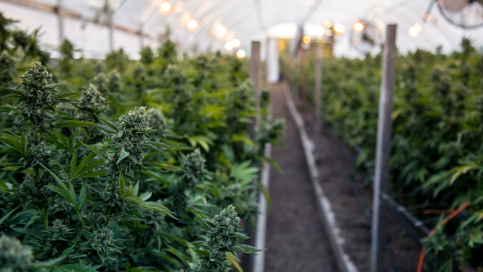 DEA Inspections and Information Requests: What You Need to Know