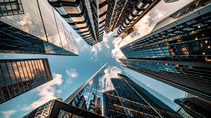 Securities Litigation Page