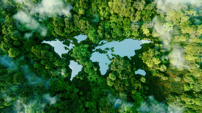Correcting Asymmetry: Human Rights and Environment-Based Counterclaims in Investor-State Dispute Resolution Page