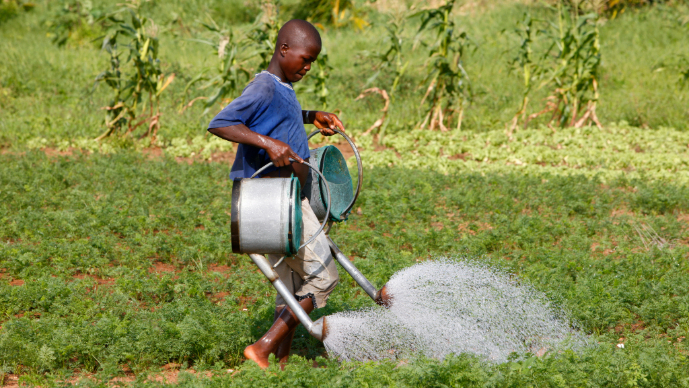 Cuts to a Little-Known U.S. Agency Undermine the Global Fight Against Forced Labor